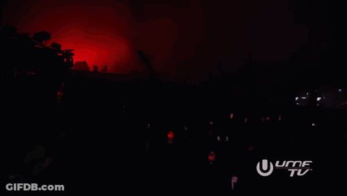 Crowd At Concert With Ufmf TV Logo GIF
