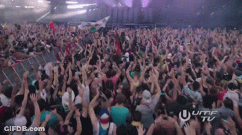 Crowd At Concert With Ultra TV GIF