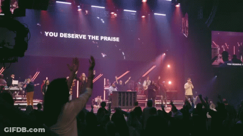 Crowd At Concert With You Deserve Praise GIF