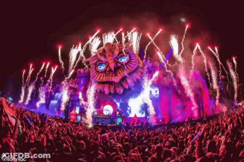 Crowd At Insomniac Concert GIF