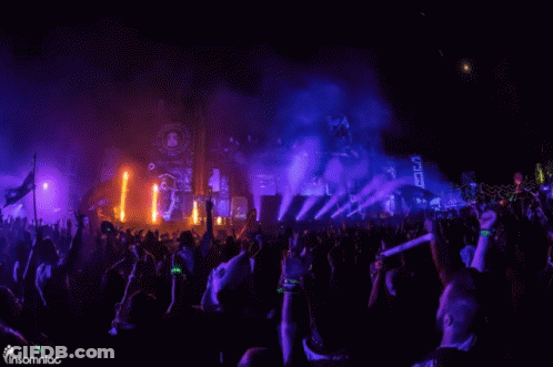 Crowd At Insomniac Concert GIF