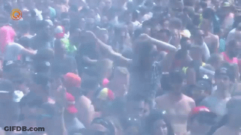 Crowd At Music Festival GIF