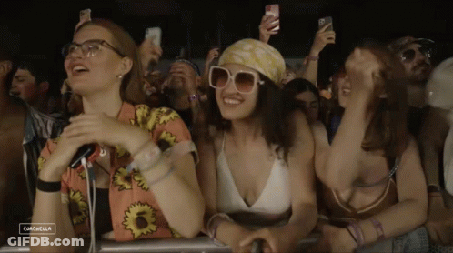 Crowd At Music Festival With Cachalla GIF