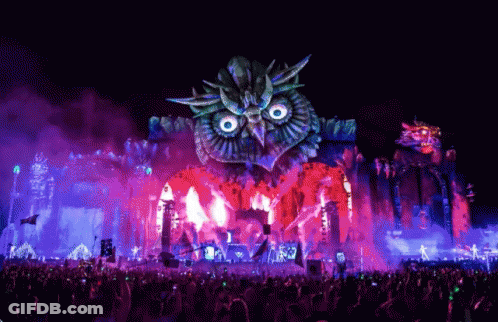 Crowd At Music Festival With Giant Owl GIF