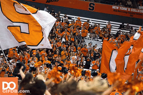 Crowd At New York College Football Game GIF