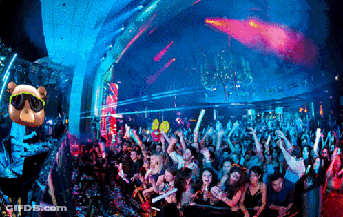 Crowd At Nightclub With Teddy Bear Sunglasses GIF