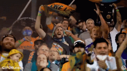 Crowd At Stadium With Man In The Goons Shirt GIF