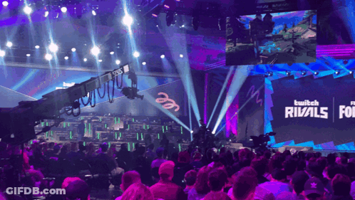 Crowd At Twitch Rivals Event Watching Game GIF