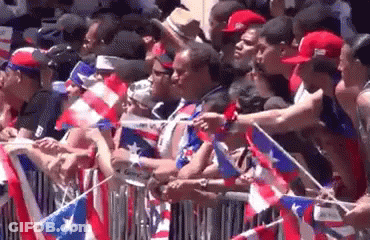 Crowd Behind Fence With Flags GIF