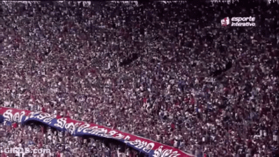 Crowd Cheering At Stadium GIF