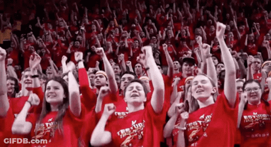 Crowd Cheering Fans Dancing GIF