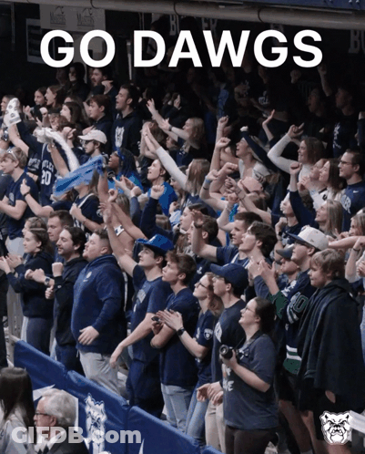 Crowd Cheering Go Dawgs In Stadium GIF