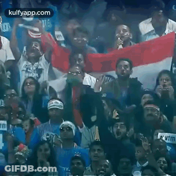 Crowd Cheering In Stadium GIF