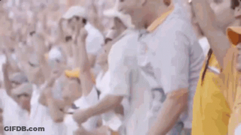 Crowd Cheering In Stadium GIF
