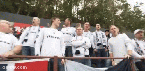 Crowd Cheering In Stadium GIF