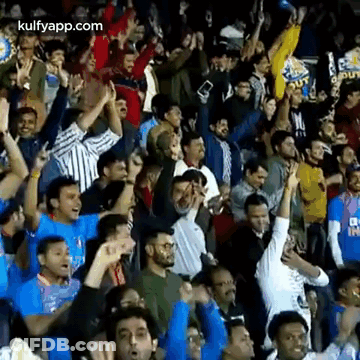 Crowd Cheering In Stadium Watching Game GIF