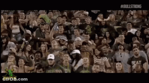 Crowd Cheering In Stadium Watching Game GIF