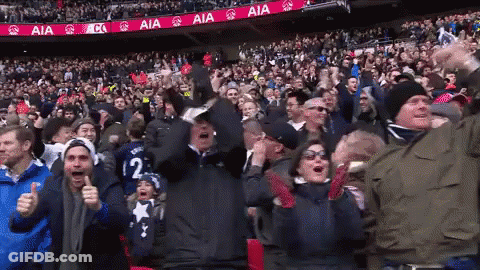 Crowd Cheering In Stadium With AIA Banners GIF