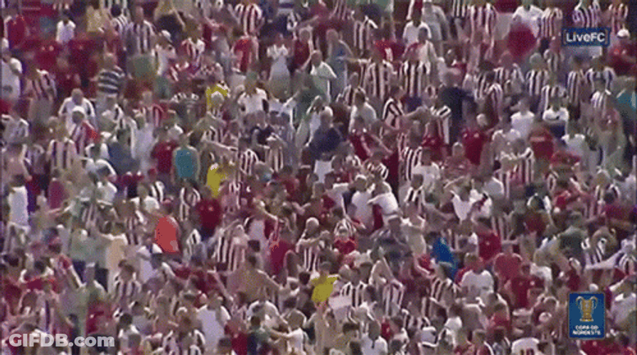 Crowd Cheering Jumping Celebration GIF