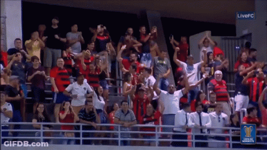 Crowd Cheering Waving And Jumping GIF