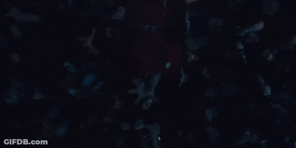 Crowd Dance As They Pass On Red Coffin GIF