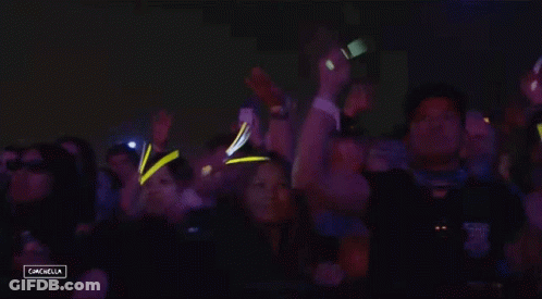 Crowd Dancing At Campbella Concert GIF