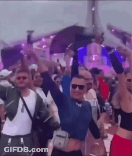 Crowd Dancing At Music Festival GIF