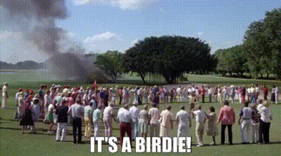 Crowd Gathering Around Gold Course In Caddyshack GIF