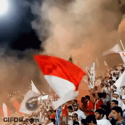 Crowd Holding Flags One Says BMW GIF