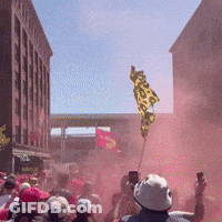 Crowd Holding Freedom Flag GIF