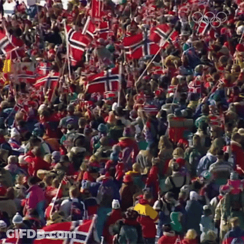 Crowd Holding Norway Flag GIF
