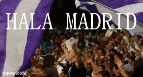 Crowd Holding Purple And White Hala Madrid Flags GIF