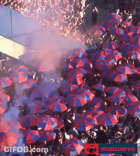 Crowd Holding Red And Blue Umbrellas Musicervo Sign GIF