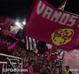 Crowd Holding Red Flag Saying Vamos GIF