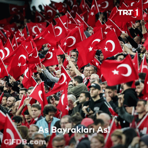 Crowd Holding Turkish Flags With TRT 1 GIF