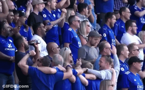 Crowd In Blue Shirts Saying King Power GIF