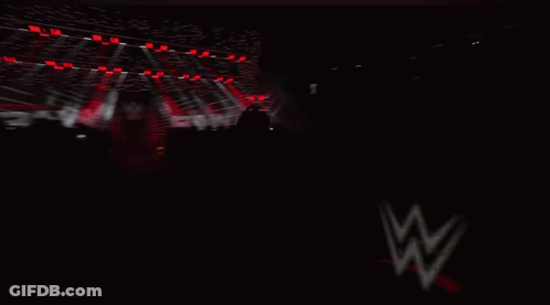 Crowd In Front Of Raw Stage GIF