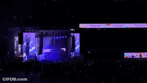 Crowd In Front Of Technical High Party Stage GIF