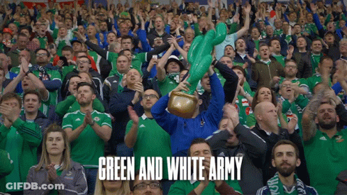 Crowd In Green And White Army Jerseys GIF