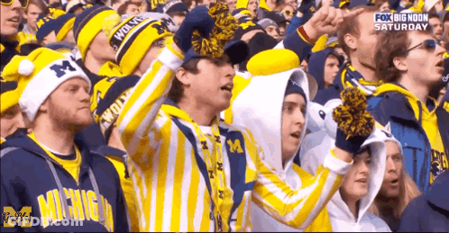 Crowd In Michigan Jerseys And Hats GIF