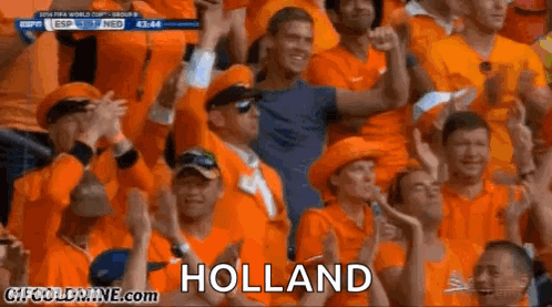 Crowd In Orange Shirts And Hats Watching Soccer Game Holland GIF