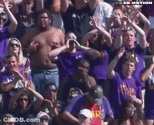 Crowd In Purple Shirts Watching Football GIF