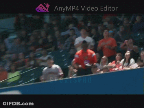 Crowd In Stadium Anymp4 Video Editor GIF