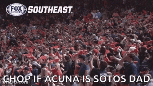 Crowd In Stadium Watching Game GIF