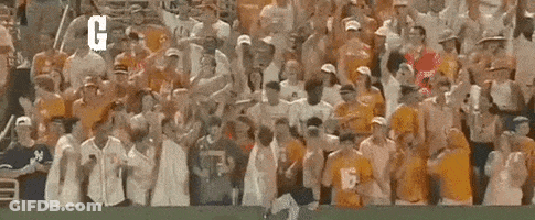 Crowd In Stadium With Arms Up And Good Ol Sign GIF