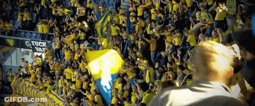 Crowd In Stadium With Banner Saying Fuck Vaf GIF
