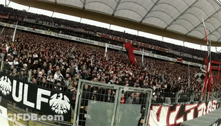 Crowd In Stadium With Banner Saying Ulf GIF