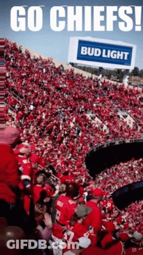 Crowd In Stadium With Bud Light Billboard GIF