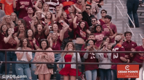 Crowd In Stadium With Cedar Pointe Advertisement GIF