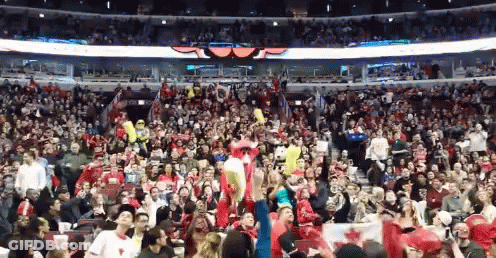 Crowd In Stadium With Chicago Bulls Banner GIF